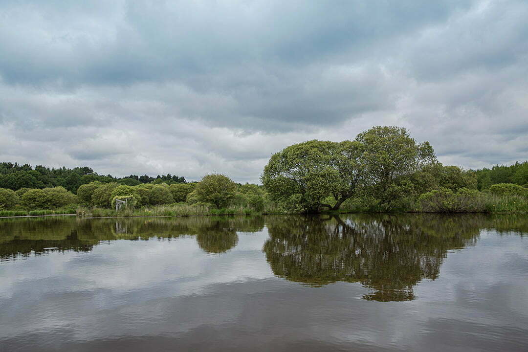 Découverte du parc naturel régional de Brière en chaland - Escale à l'Ouest
